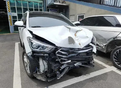 2018 Hyundai Santa FE KMHSW81UBJU804431 VIN:KMHSW81UBJU804431