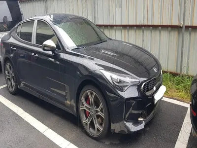 2020 Kia Stinger KNAE751CDLS085806 VIN:KNAE751CDLS085806