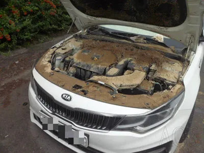 2019 Kia K5 KNAGT411BLA370181 VIN:KNAGT411BLA370181