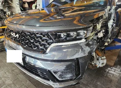 2023 Kia Sorento KNARH81GBPA159923 VIN:KNARH81GBPA159923