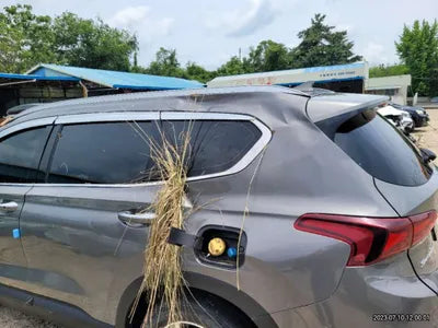 2019 Hyundai Santa FE 347KMKMHS281CBKU0 VIN:347KMKMHS281CBKU0