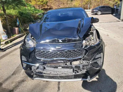 2019 Kia Sportage KNAPL812GKK737170 VIN:KNAPL812GKK737170