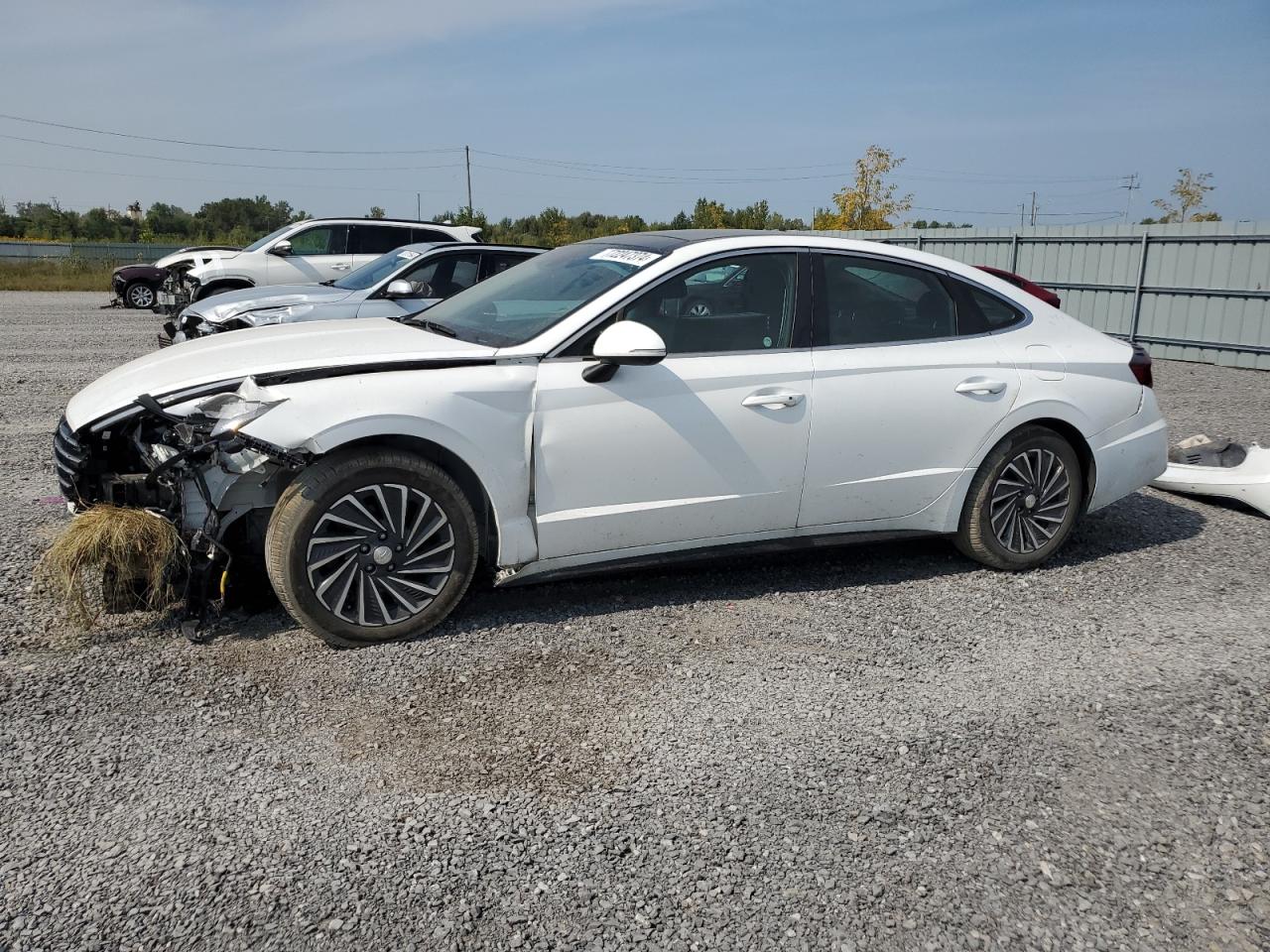 2023 HYUNDAI SONATA HYBRID VIN:KMHL34JJXPA054442