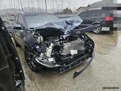2019 Kia Sportage KNAPP81ABKK643821 VIN:KNAPP81ABKK643821