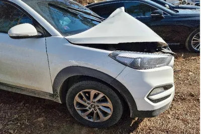 2017 Hyundai Tucson KMHJ281ABHU472620 VIN:KMHJ281ABHU472620