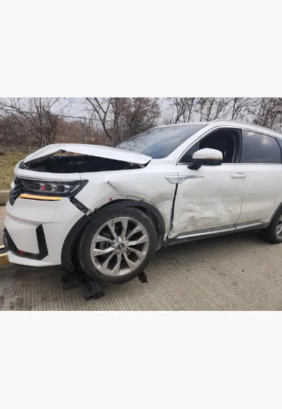 2021 Kia Sorento KNARL81BGMA004322 VIN:KNARL81BGMA004322