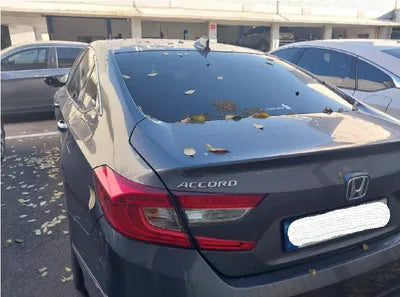 2021 Honda Accord 1HGCV1650MA510417 VIN:1HGCV1650MA510417