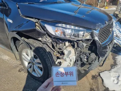 2016 Kia Sorento KNAPG81ABGA267565 VIN:KNAPG81ABGA267565