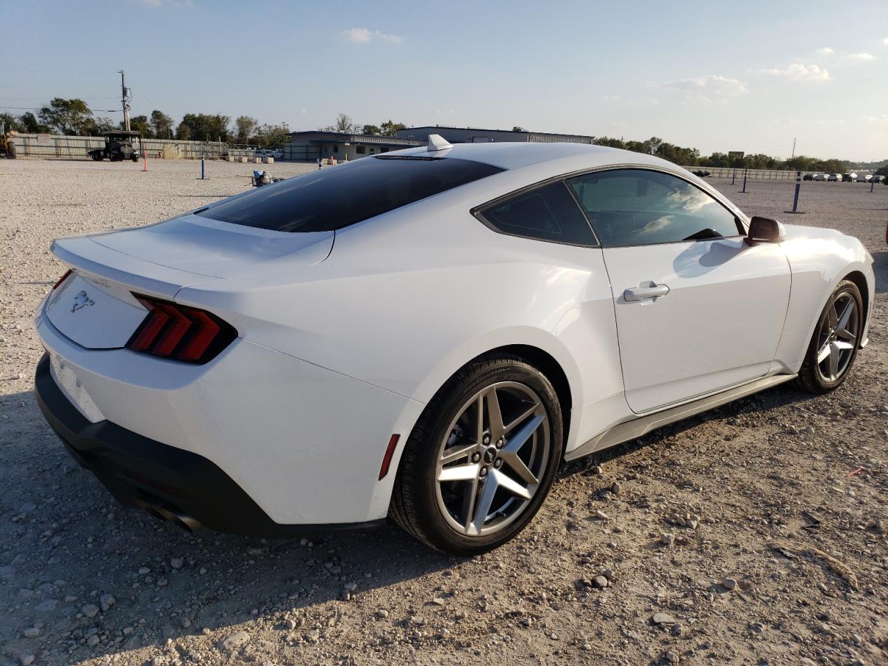 2024 FORD MUSTANG  VIN:1FA6P8TH7R5118686