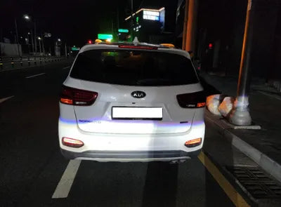 2020 Kia Sorento KNAPS81BBLA570113 VIN:KNAPS81BBLA570113