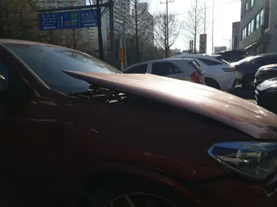 2020 BMW X4 M WBAVJ7108L9B97669 VIN:WBAVJ7108L9B97669