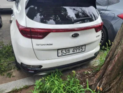 2019 Kia Sportage KNAPL812GKK565456 VIN:KNAPL812GKK565456