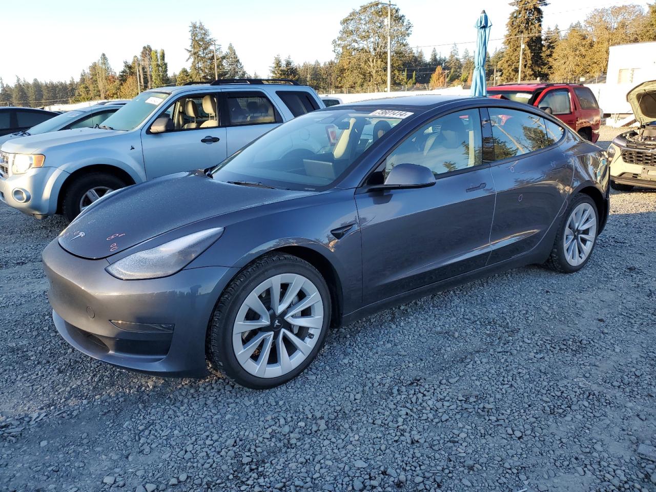 2023 TESLA MODEL 3  VIN:5YJ3E1EA1PF642549