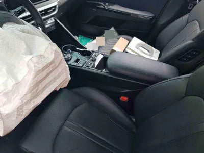 2020 Kia K5 KNAG241BBLA021569 VIN:KNAG241BBLA021569