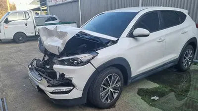 2016 Hyundai Tucson KMHJ381ABGU026409 VIN:KMHJ381ABGU026409