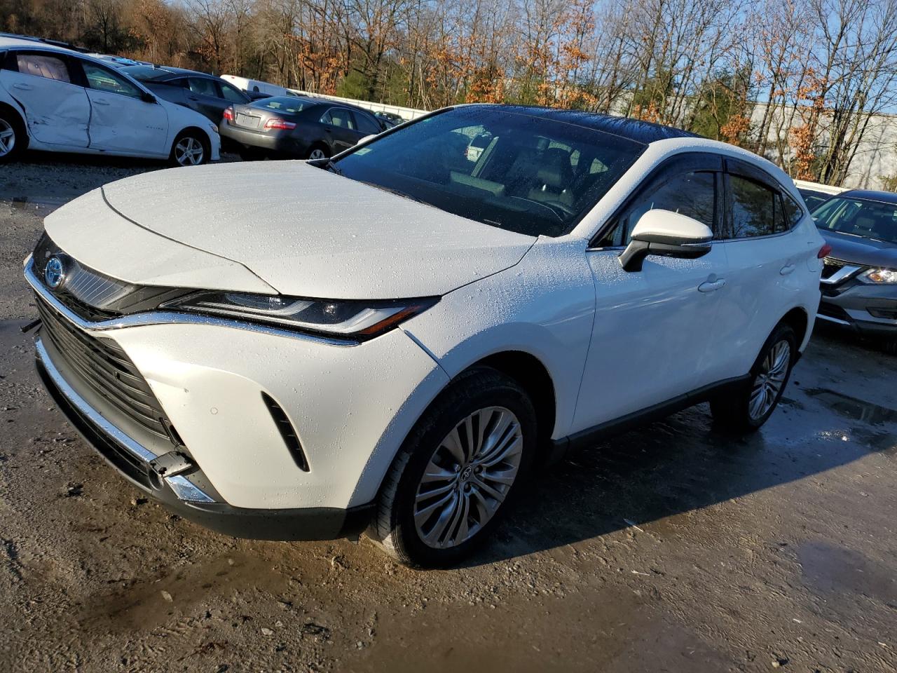 2023 TOYOTA VENZA LE VIN:JTEAAAAH2PJ147707