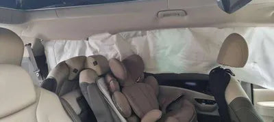 2021 Kia Carnival KNANE813BMS079692 VIN:KNANE813BMS079692