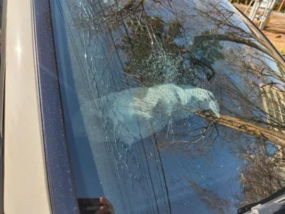 2017 Mercedes-Benz C 200 WDDWF3HB6HR301370 VIN:WDDWF3HB6HR301370