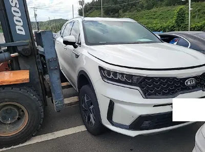 2021 Kia Sorento KNARF81GBMA054122 VIN:KNARF81GBMA054122
