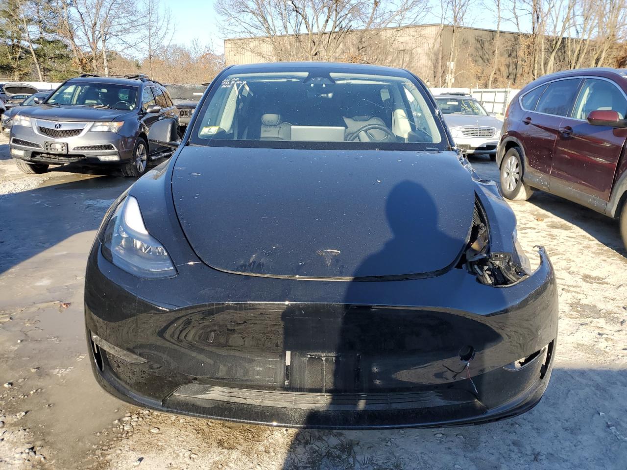 2024 TESLA MODEL Y  VIN:7SAYGAEE2RF981250