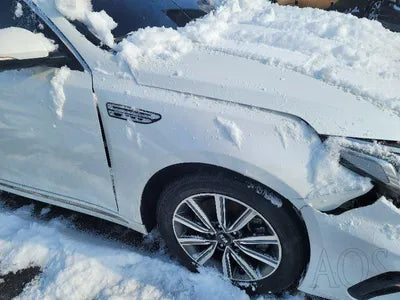 2019 Kia K5 VIN: