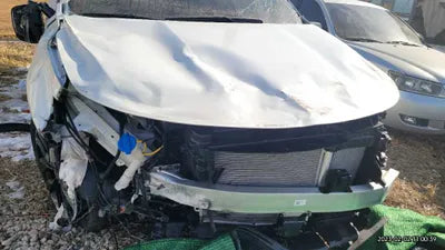 2023 Kia Sorento KNARJ81FGPA201460 VIN:KNARJ81FGPA201460