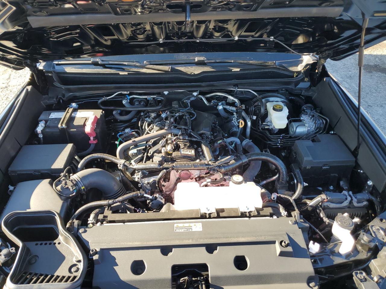 2024 TOYOTA TACOMA DOUBLE CAB VIN:3TMLB5JN5RM083918