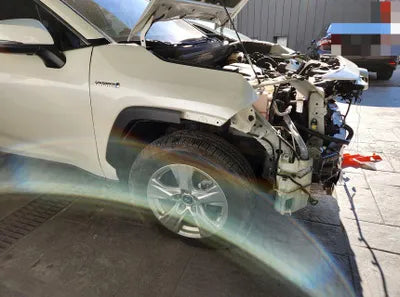 2019 Toyota RAV4 VIN: