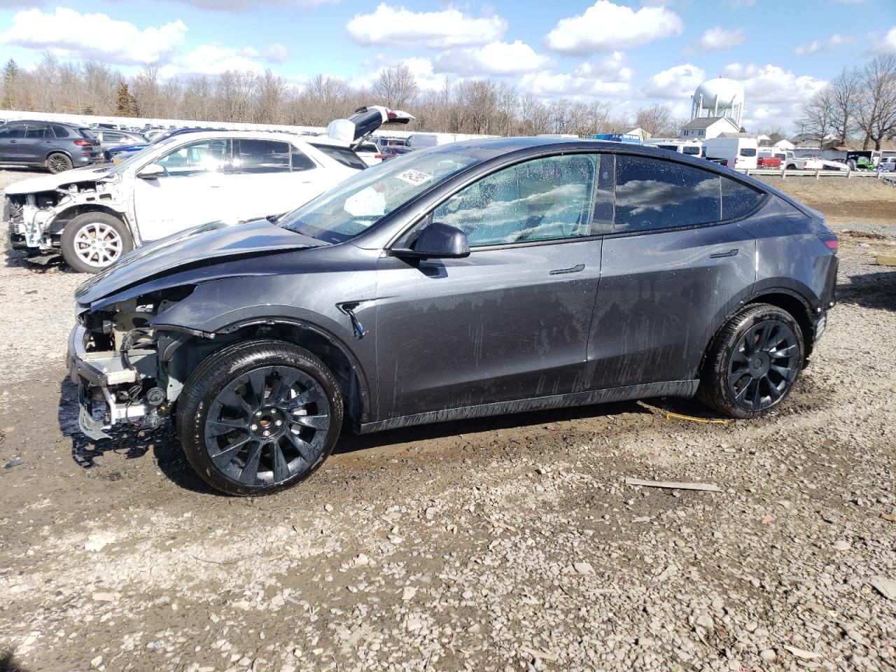 2024 TESLA MODEL Y  VIN:7SAYGDEDXRF042808