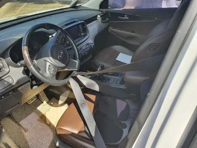 2017 Kia Sorento KNAPK81BDHA349043 VIN:KNAPK81BDHA349043