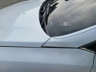 2017 Hyundai Santa FE KMHSW81UBJU839596 VIN:KMHSW81UBJU839596