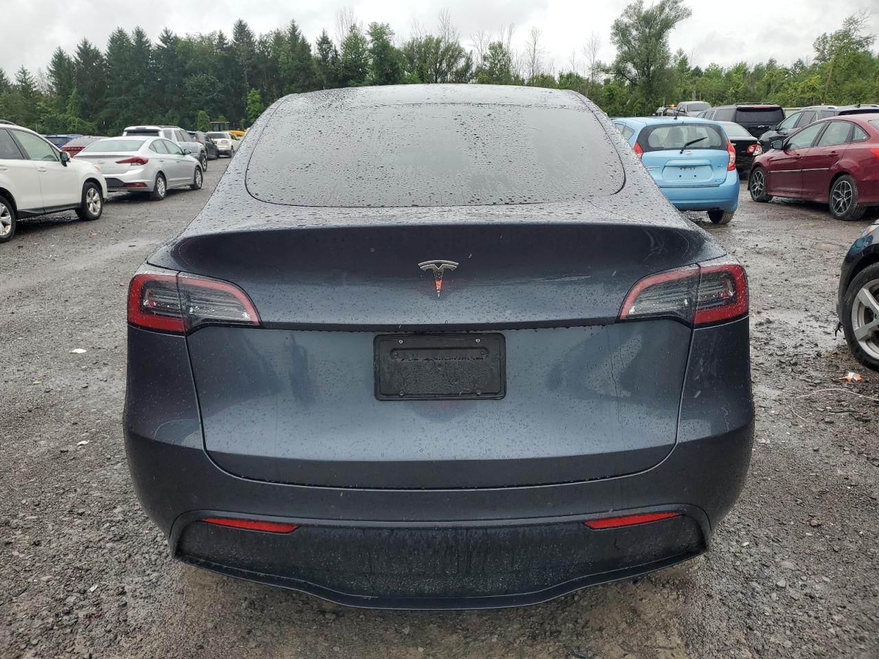 2022 TESLA MODEL Y  VIN:7SAYGDEE6NF387384