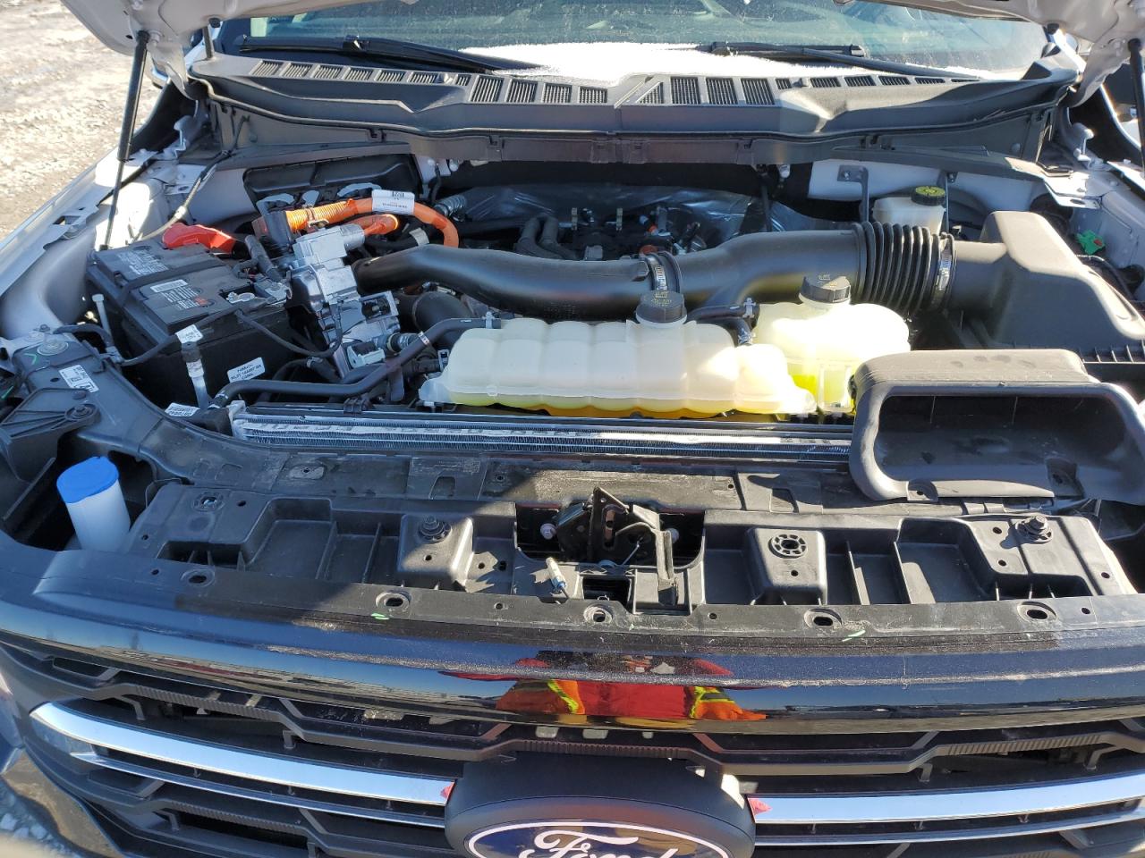 2024 FORD F150 XLT VIN:1FTFW3LD4RFA09058