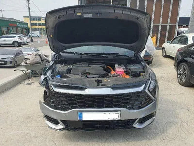 2023 Kia Sportage KNAPX81GBRK110003 VIN:KNAPX81GBRK110003