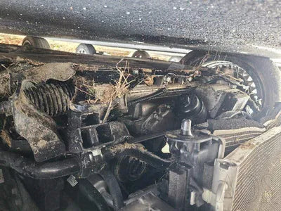 2019 Genesis G90 KMHG241DDKU066274 VIN:KMHG241DDKU066274