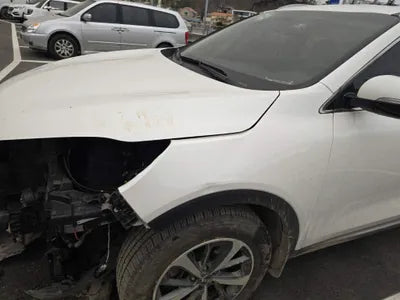 2019 Kia Sorento KNAPG81BDKA540068 VIN:KNAPG81BDKA540068