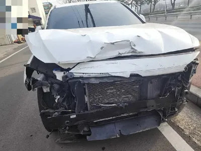 2018 Hyundai Santa FE KMHS281BBKU004778 VIN:KMHS281BBKU004778