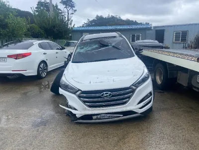 2017 Hyundai Tucson KMHJ581ABHU220419 VIN:KMHJ581ABHU220419