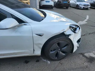 2019 Tesla Model 3 5YJ3E1EB5LF585839 VIN:5YJ3E1EB5LF585839
