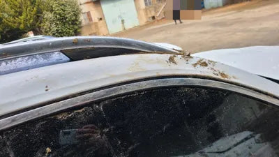 2021 Mercedes-Benz B 250 W1N4M4HB4MW101928 VIN:W1N4M4HB4MW101928