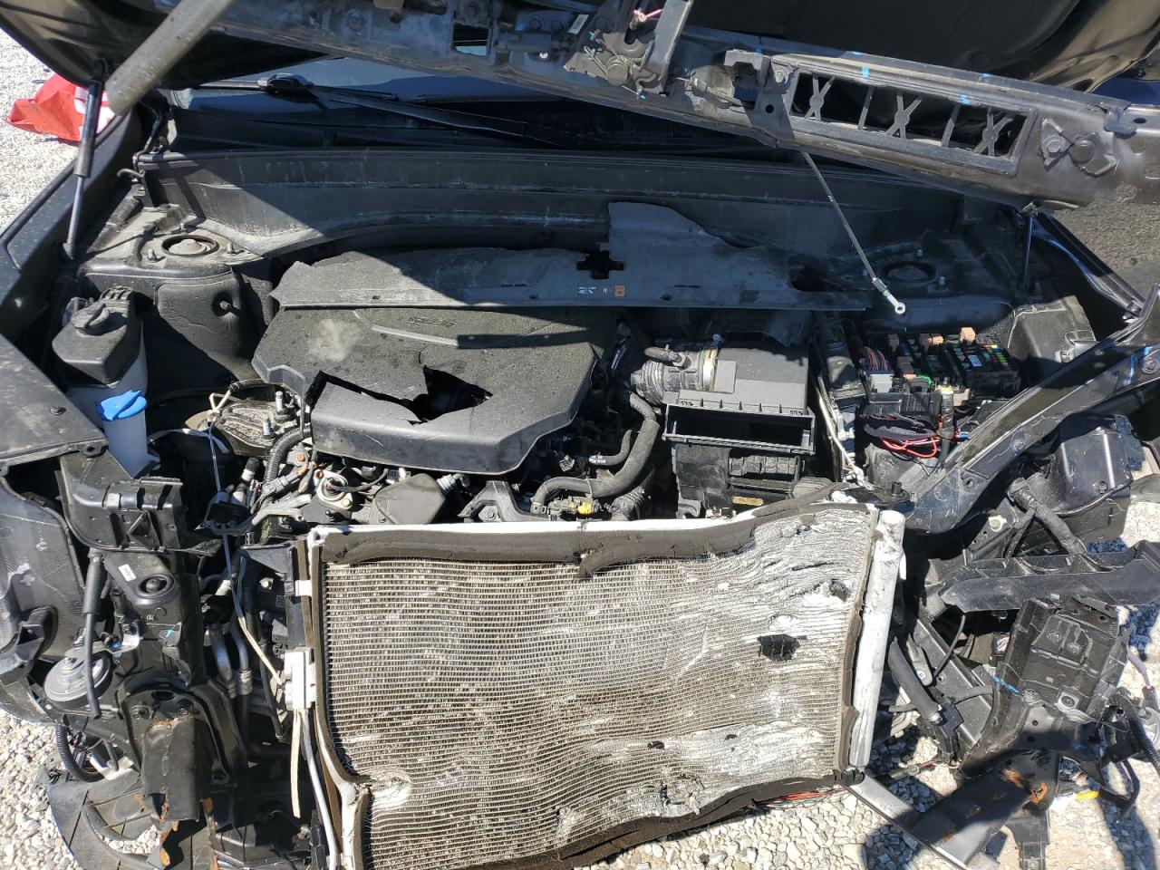 2023 KIA TELLURIDE SX VIN:5XYP5DGC9PG410954