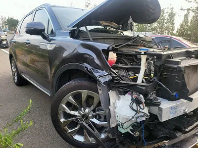 2021 Kia Sorento KNARK81BGMA108062 VIN:KNARK81BGMA108062
