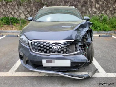 2017 Kia Sorento KNAPS81BDJA401334 VIN:KNAPS81BDJA401334