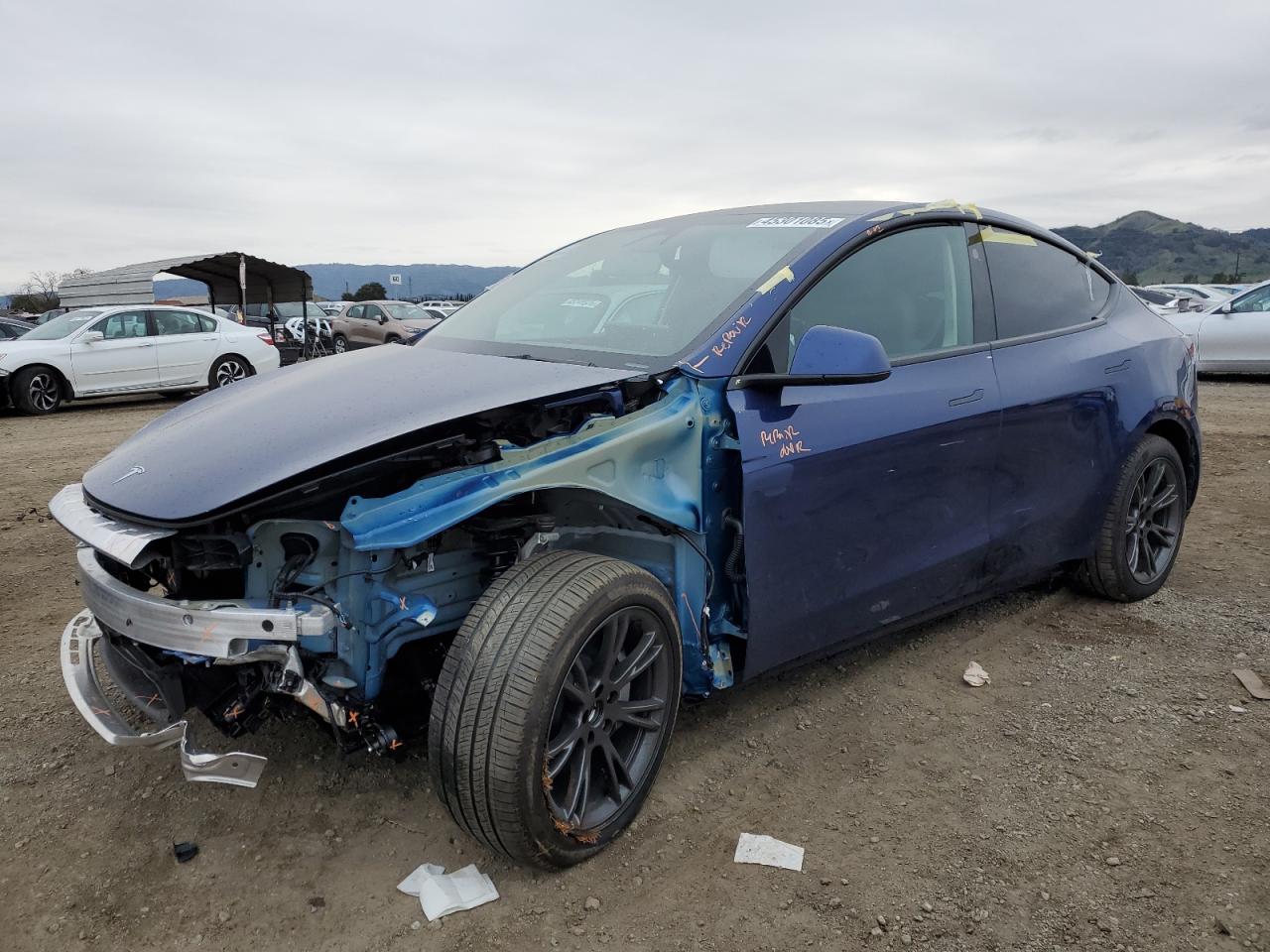 2024 TESLA MODEL Y  VIN:7SAYGDED7RF181553