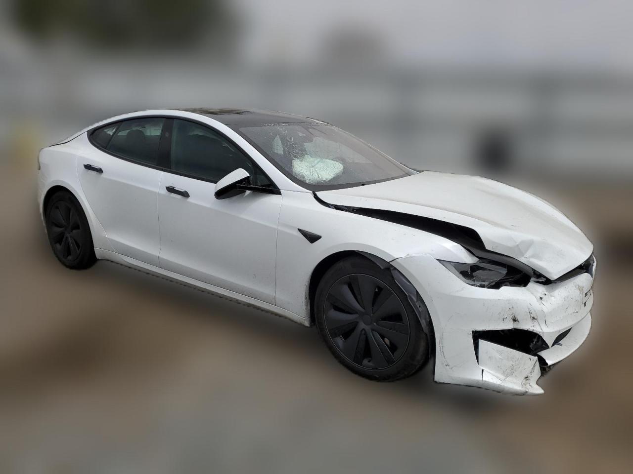 2023 TESLA MODEL S  VIN:5YJSA1E57PF528386