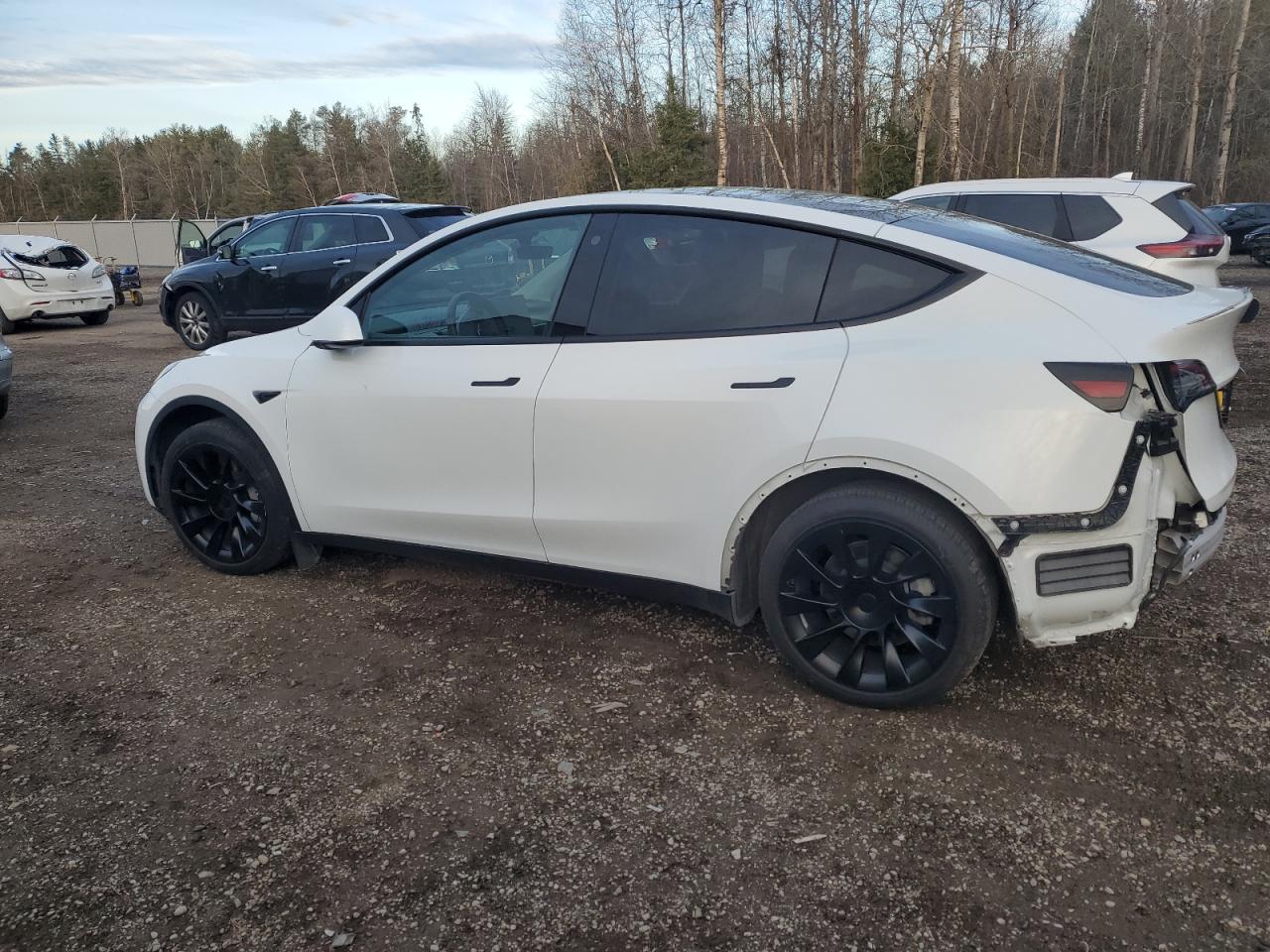 2022 TESLA MODEL Y  VIN:7SAYGAEE3NF514817