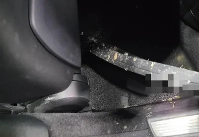 2020 Mercedes-Benz S 350 W1KUF2BB2LA558821 VIN:W1KUF2BB2LA558821