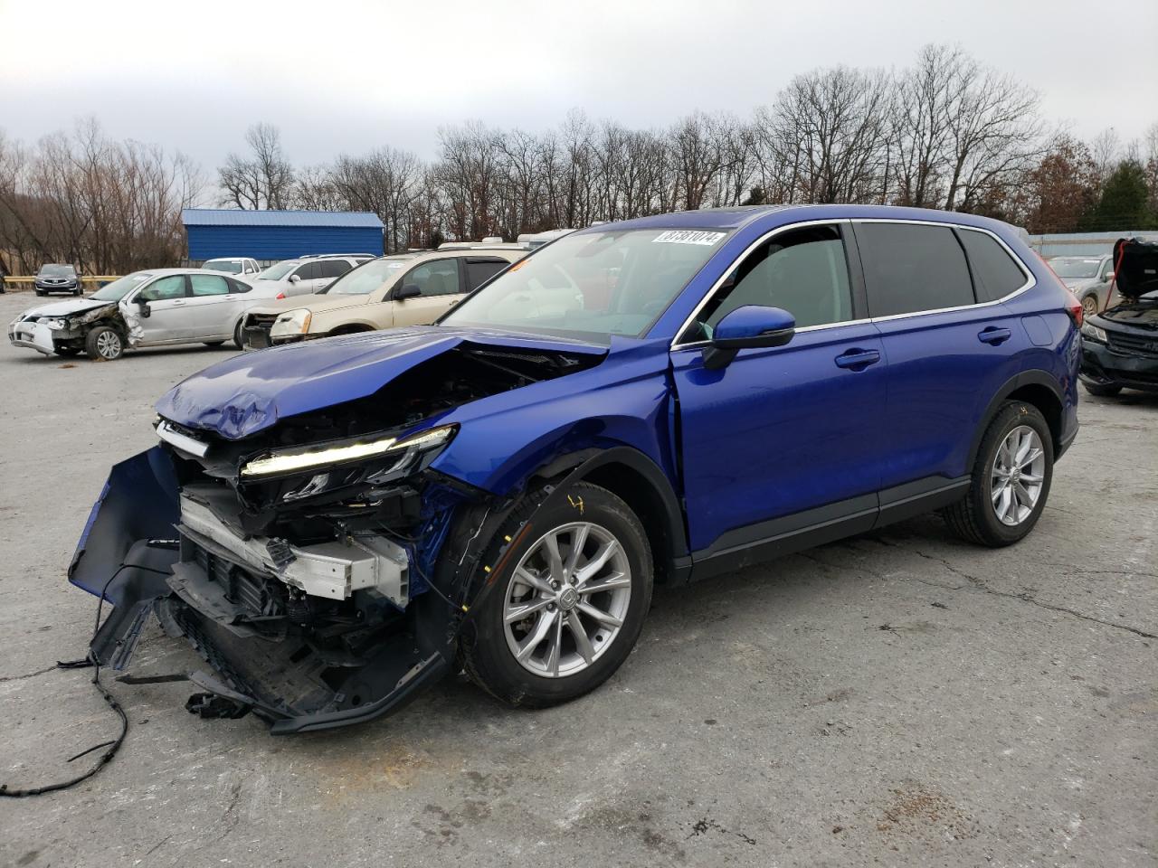 2023 HONDA CR-V EXL VIN:7FARS4H79PE018278