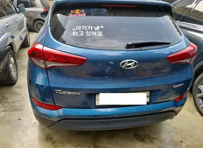 2016 Hyundai Tucson KMHJ3815GGU163572 VIN:KMHJ3815GGU163572