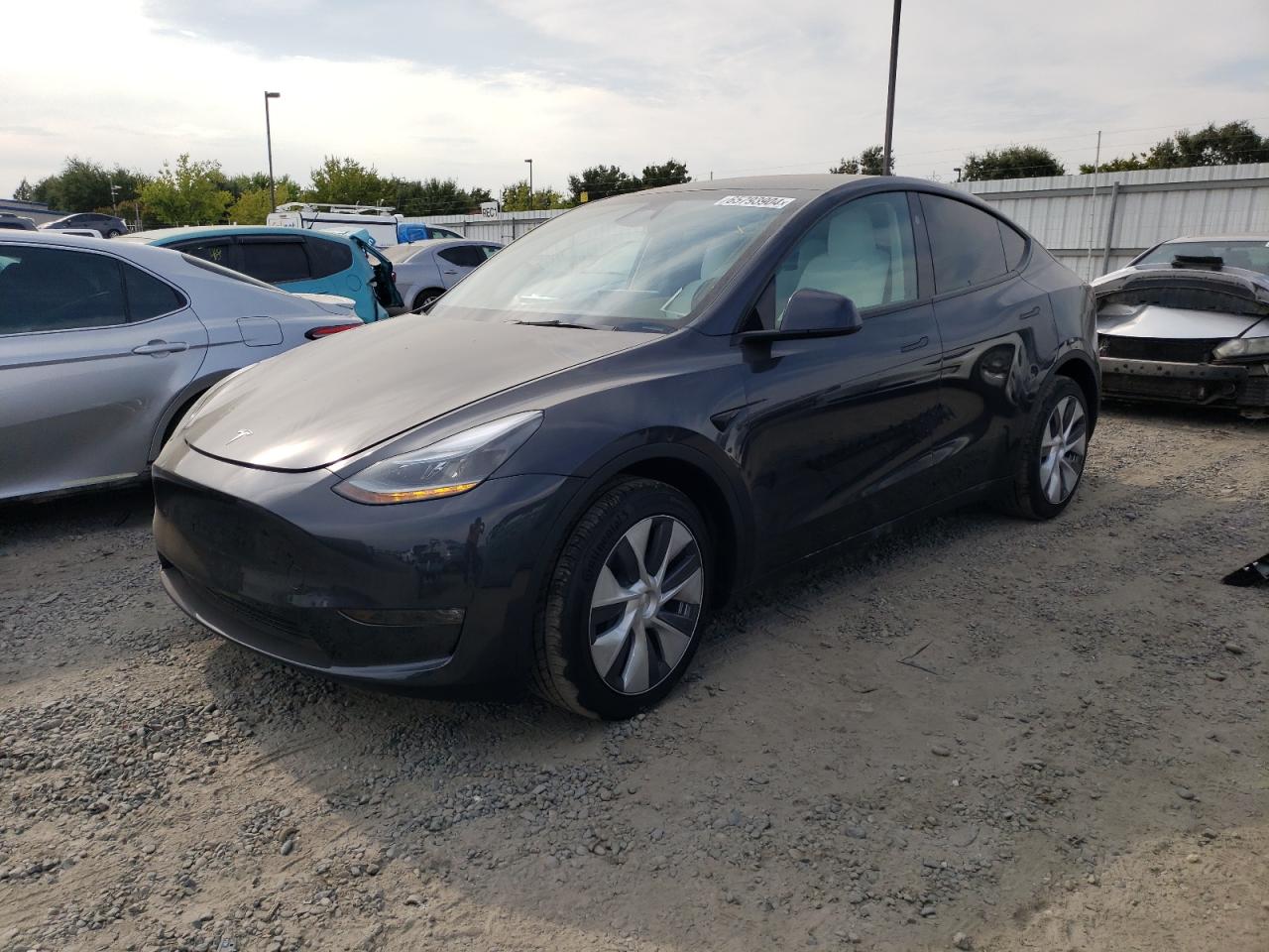 2024 TESLA MODEL Y  VIN:7SAYGDEE8RF080062